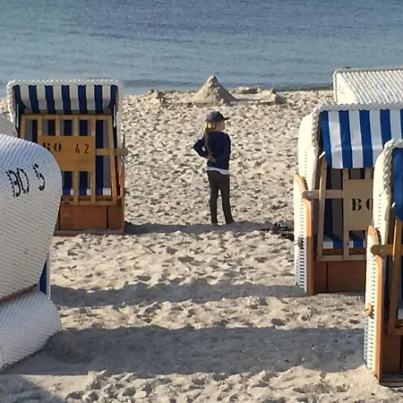 Seestern * Ostseebad Kühlungsborn