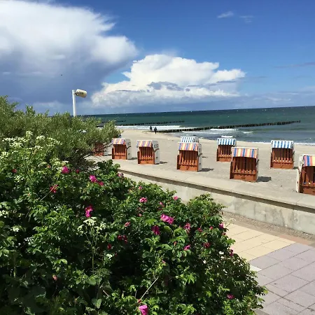 Seestern Ostseebad Kühlungsborn